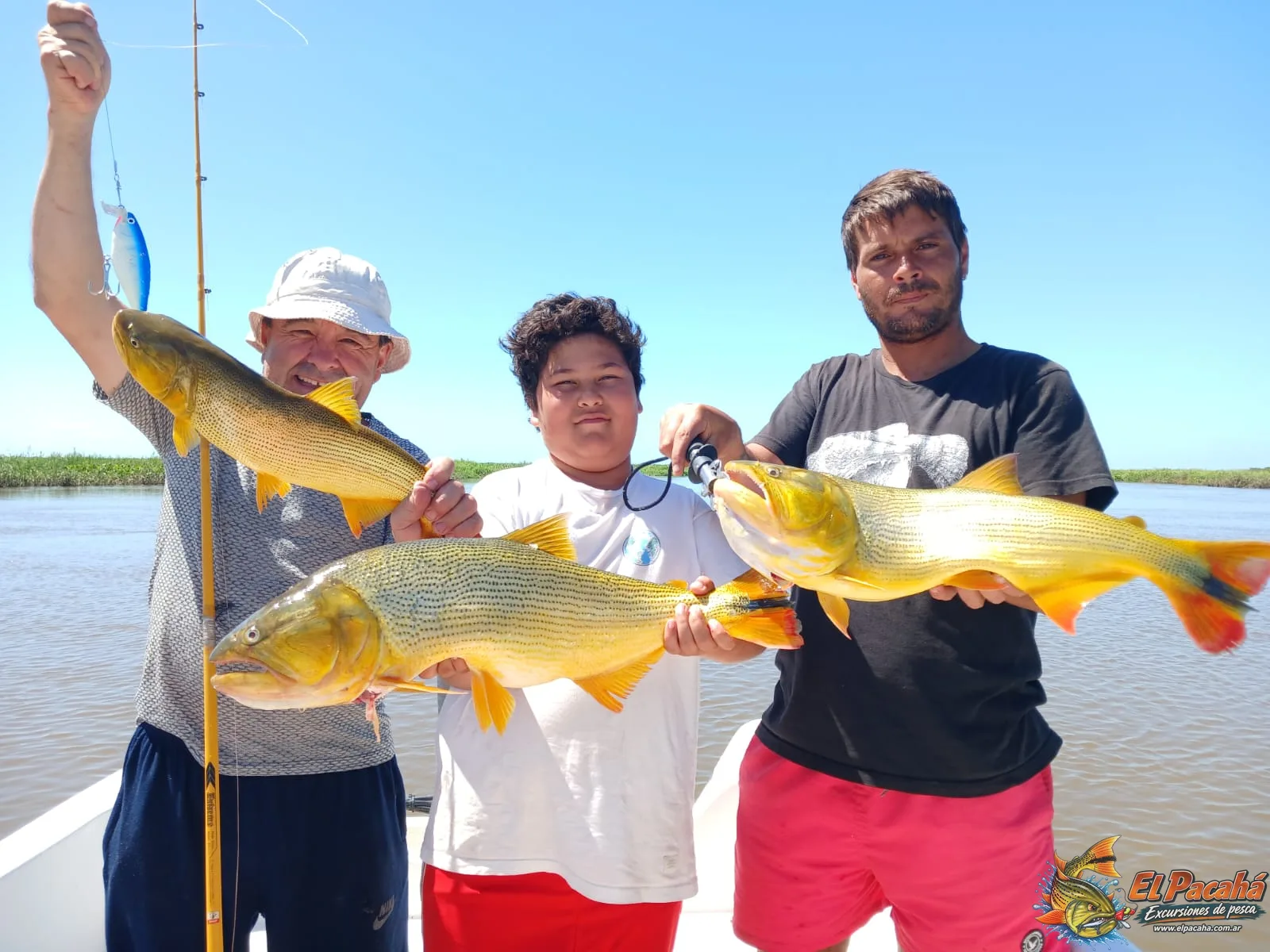 Pesca en Comi Pini, imagen 21