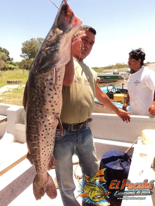 Pesca en Comi Pini, imagen 47