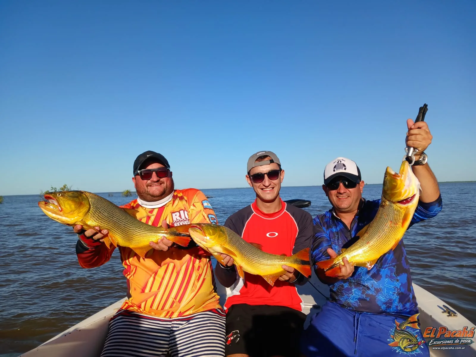 Pesca en Comi Pini, imagen 22