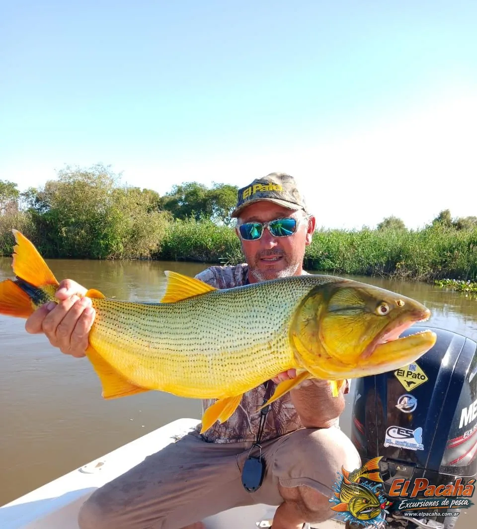 Pesca en Comi Pini, imagen 7