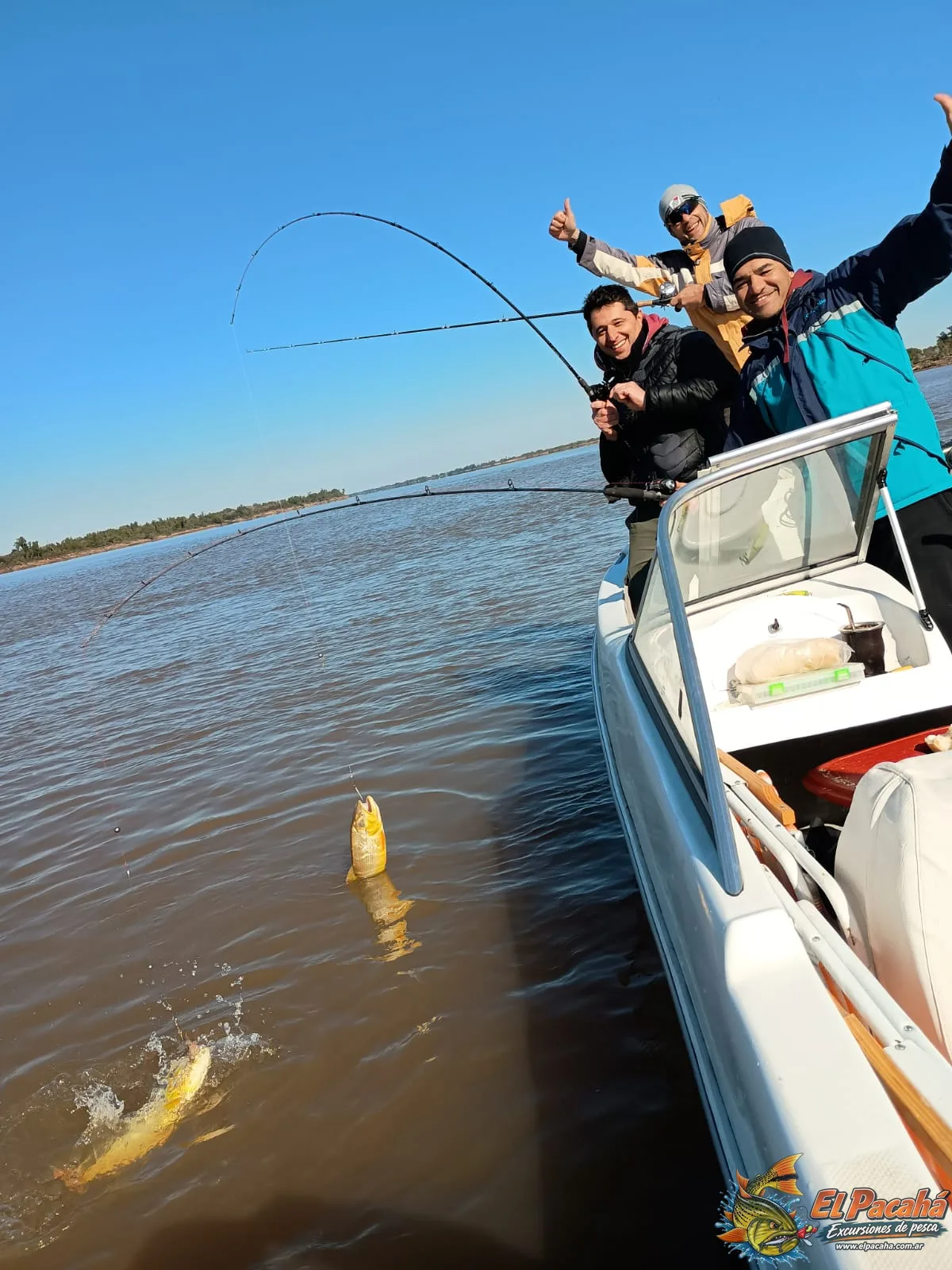 Pesca en Comi Pini, imagen 6