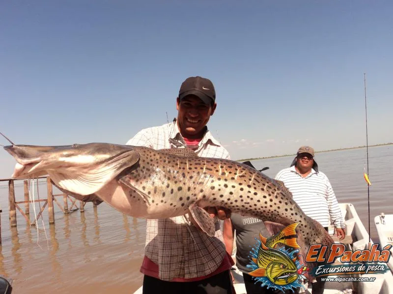 Pesca en Comi Pini, imagen 51