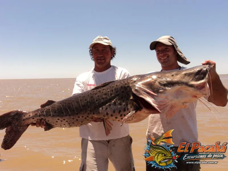 Pesca en Comi Pini, imagen 45