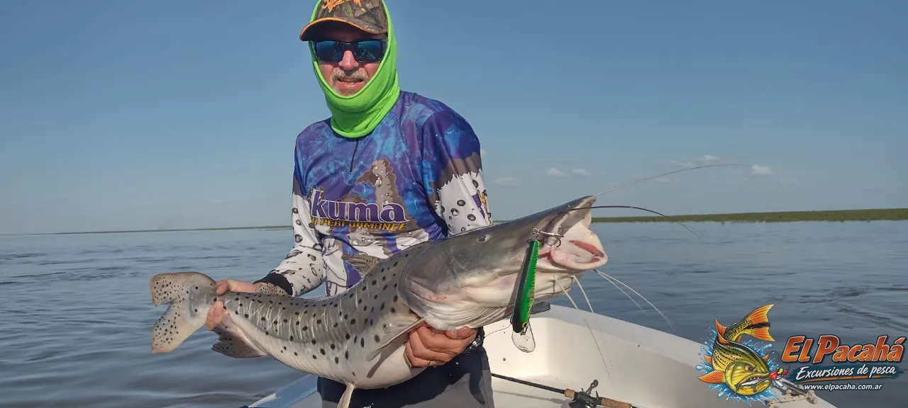 Pesca en Comi Pini, imagen 13
