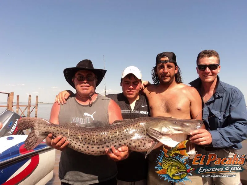 Pesca en Comi Pini, imagen 50