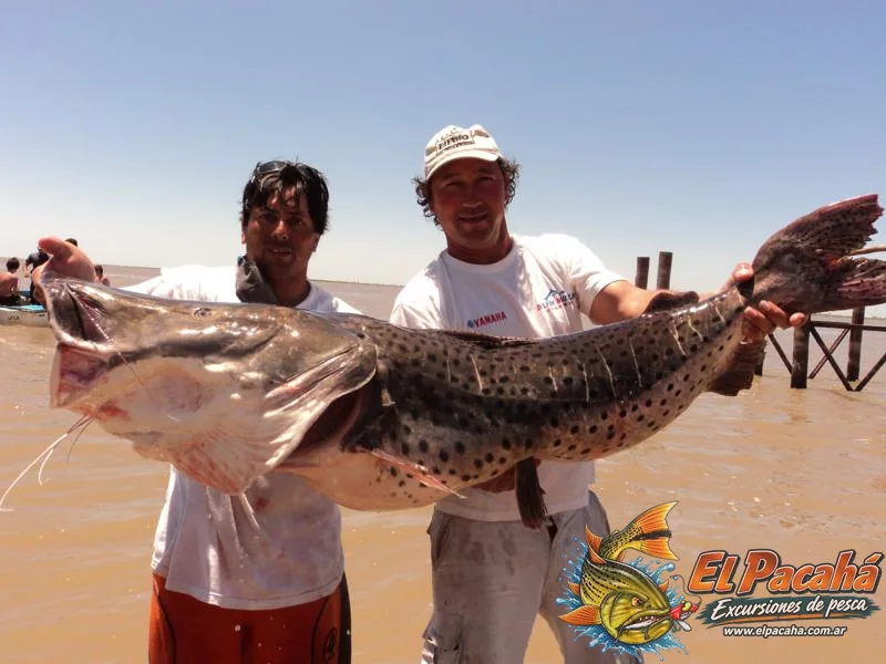 Pesca en Comi Pini, imagen 44