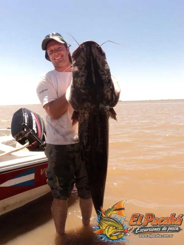 Pesca en Comi Pini, imagen 49