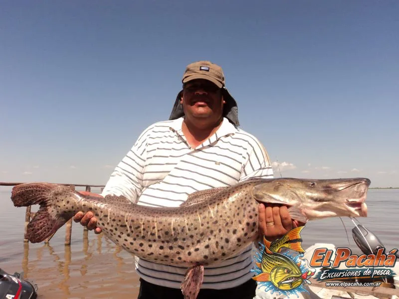 Pesca en Comi Pini, imagen 52