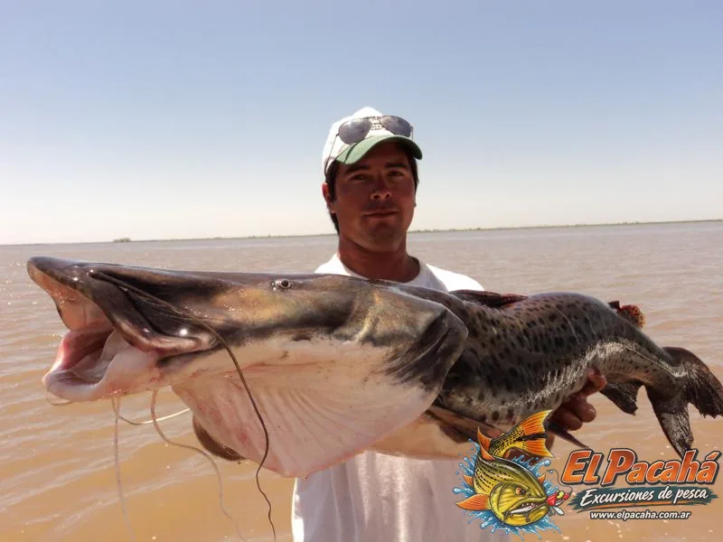 Pesca en Comi Pini, imagen 54
