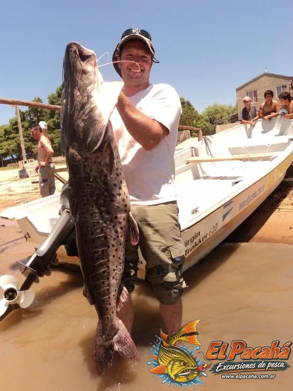 Pesca en Comi Pini, imagen 48