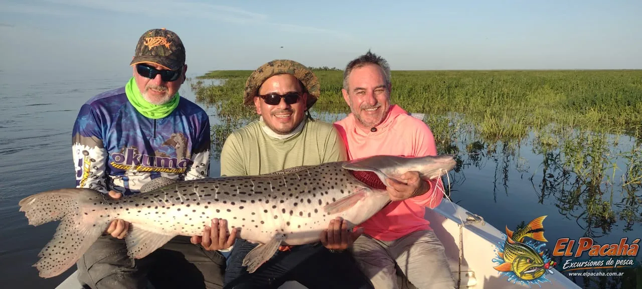Pesca en Comi Pini, imagen 10