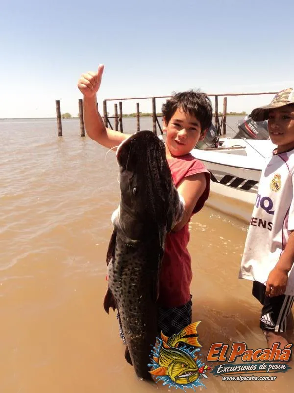 Pesca en Comi Pini, imagen 53