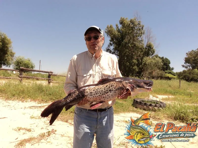 Pesca en Comi Pini, imagen 55