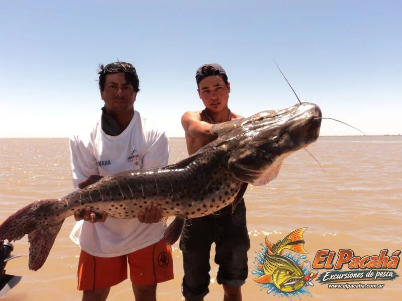 Pesca en Comi Pini, imagen 46
