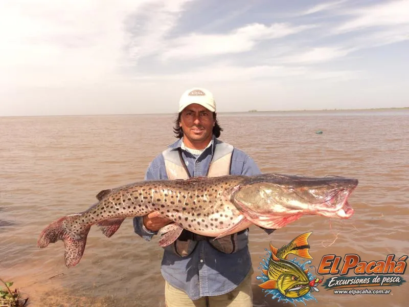 Pesca en Comi Pini, imagen 42