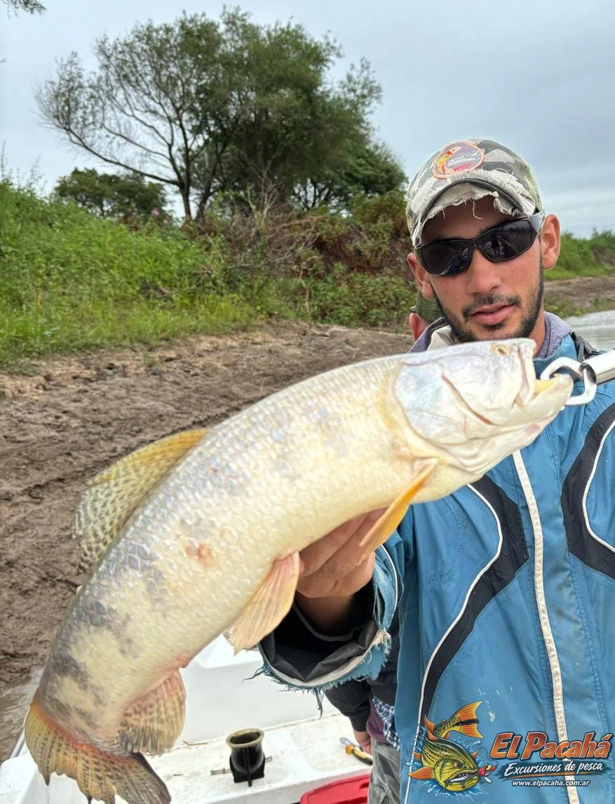 Pesca en Comi Pini, imagen 16