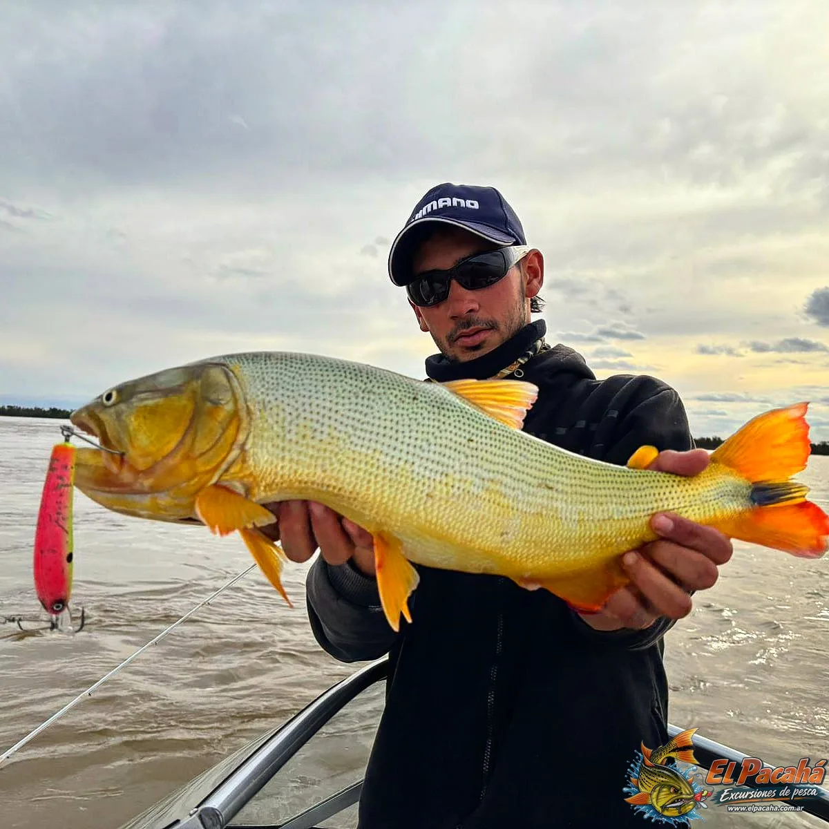 Pesca en Comi Pini, imagen 5