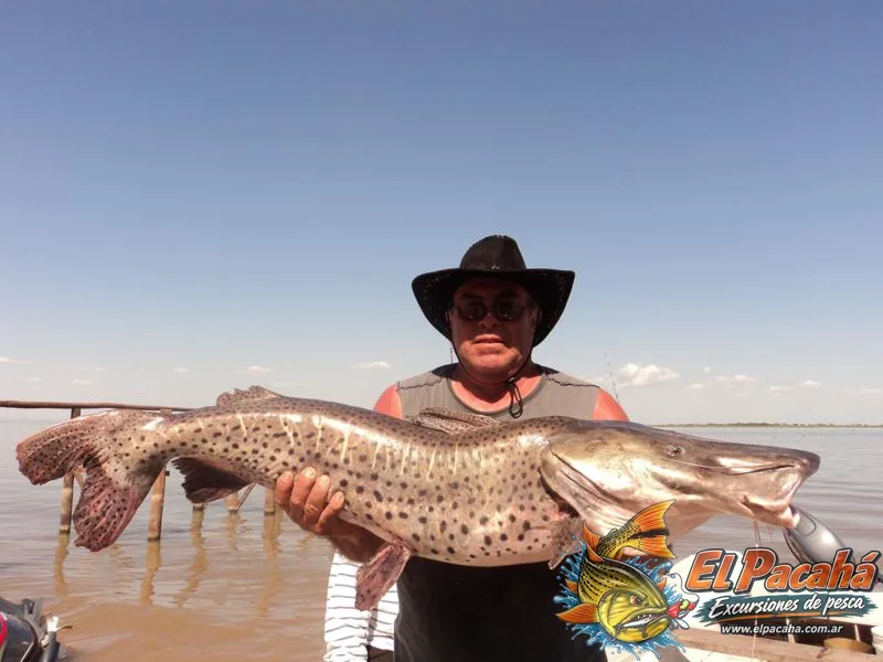 Pesca en Comi Pini, imagen 43