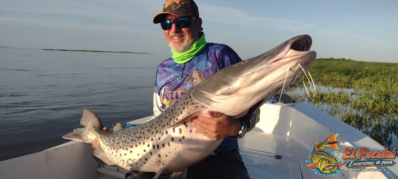 Pesca en Comi Pini, imagen 11